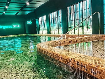 басейн SPA зони в заміському комплексі «ШишкиNN» у селі Снов'янка Чернігівської області