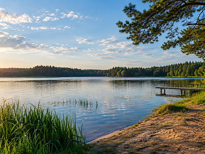 Старовижівські озера Волині – добірка мальовничих водойм для купання, риболовлі та відпочинку серед природи Полісся з описами й корисною інформацією.