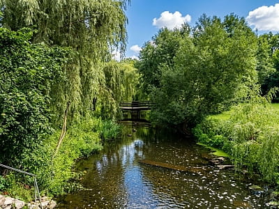 Відкрийте річку Жванчик на Хмельниччині: мальовничі каньйоноподібні береги, пороги, водоспади, риболовля, цікаві природні локації та маршрути Поділля.
