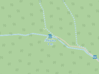 Розташування Плішка на мапі; Data: © OpenStreetMap contributors, SRTM, GEBCO, SONNY's LiDAR DTM, NASADEM, ESA WorldCover; Maps © Tracestrack