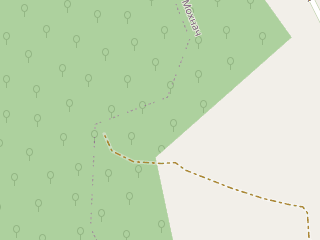 Розташування Мохнацьке городище на мапі; Data: © OpenStreetMap contributors, SRTM, GEBCO, SONNY's LiDAR DTM, NASADEM, ESA WorldCover; Maps © Tracestrack