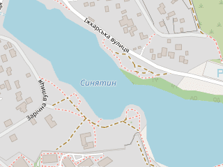 Розташування Синятин на мапі; Data: © OpenStreetMap contributors, SRTM, GEBCO, SONNY's LiDAR DTM, NASADEM, ESA WorldCover; Maps © Tracestrack