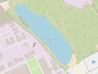 Розташування Корольок на мапі; Data: © OpenStreetMap contributors, SRTM, GEBCO, SONNY's LiDAR DTM, NASADEM, ESA WorldCover; Maps © Tracestrack