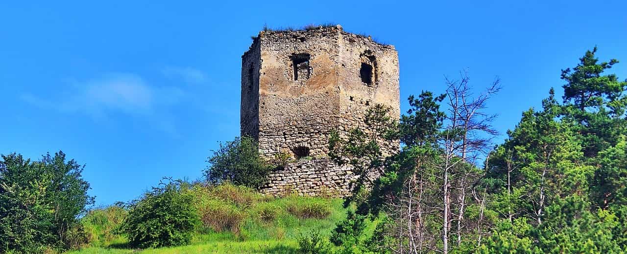 Висіцький замок в Тернопільській області