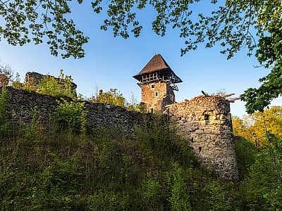 Невицький замок - старовинна легендарна споруда, яка в давнину виконує оборонну функцію, а зараз перетворена на руїни. Замок реконструюється, доступний для відвідування.