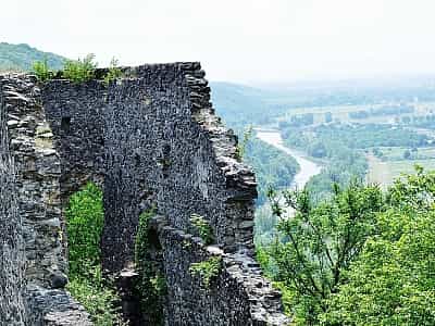 Руїни Невицького замку належать до багатьох оборонних споруд в Україні. Замок зруйновано, проте над ним проводились реставраційні роботи.