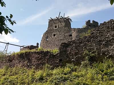  Головна функція Невицького замку – захисна, тому його розташування на вершині гори не дивно. Замок зміцнювався неодноразово, оскільки згодом змінювалася зброя та її властивості, і замок необхідно було поліпшувати.