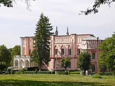  На даний момент на території палацу Вітославських знаходиться аграрний коледж. Проте палац функціонує - тут є експозиція, присвячена історії замку та родині Вітославських. 