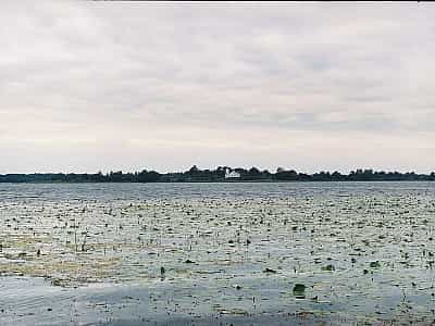 Нобель - унікальна водойма вважається перлиною Полісся.