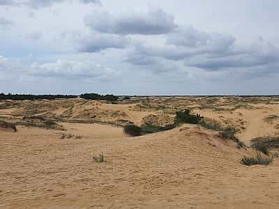  Часто Олешківські піски називають пустелею, але це не зовсім так. Температура тут не піднімається надто високо, до того ж, часто випадають опади. У деяких місцях масиву трапляються невеликі рослинні оазиси, але серед сонця і пісків однаково складно пере