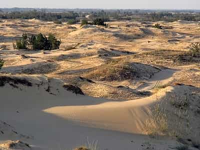 Олешківські піски - найбільший піщаний масив у Європі. Також його називають Олешківською пустелею.