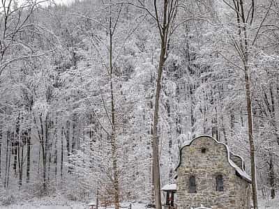 Гірськолижний комплекс Воєводино розташований у безпосередній близькості до села Тур'я Пасіка. 