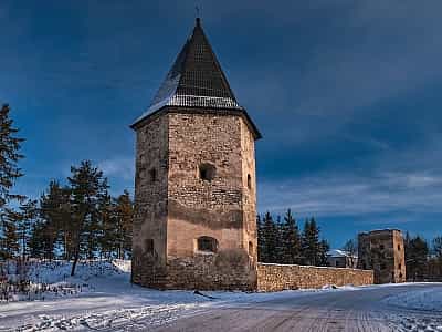 Кривченський замок в Тернопільській області