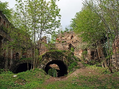 Добромильський замок - пам'ятка архітектури 16 століття, що розташована на Сліпій горі, посеред букового лісу, що біля містечка Добромиля.