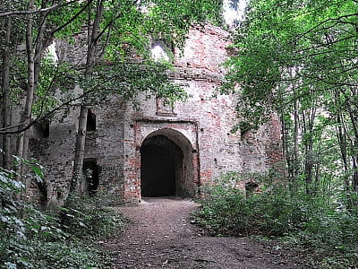 Руїни Добромильського замку роду Гербуртів на Львівщині