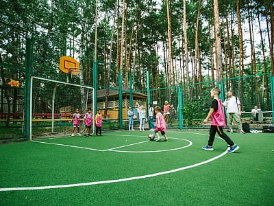 Поле для гри у футбол та баскетбол в заміському комплексі "Sobi Club" біля Вишгорода
