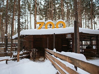 Міні-зоопарк в заміському комплексі відпочинку "Сосновель"