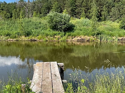 Лісове озеро в заміському комплексі "Уліс" в селі Дудки, що біля Києва