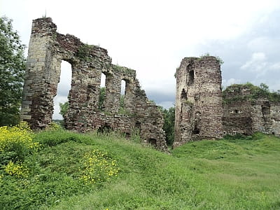 Руїни Бучацького замку в Тернопільській області.