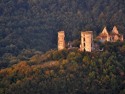 Руїни Червоногородського замку в селі Нирків