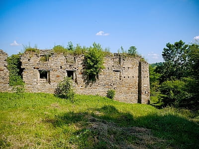 Микулинецький замок - унікальна пам'ятка архітектури 16 століття, з довгою історією звитяг та поразок, що овіяні легендами.