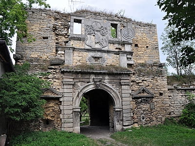 Чернелицький замок в Івано-Франківській області