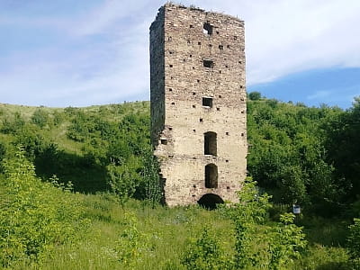 Раковецький замок XVII століття у Івано-Франківській області
