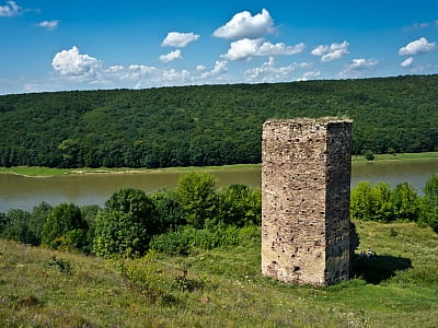 Раковецький замок в Івано-Франківській області