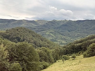 Гірськолижні траси в селі Шишори, що на території національного природного парка "Гуцульщина"