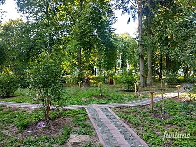 Ботанічний сад Національного університету біоресурсів і природокористування у Києві
