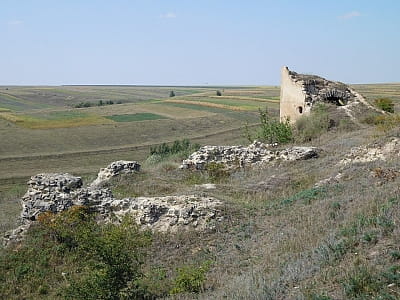 Висіцький замок в Тернопільській області