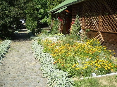 Учнівський дендрологічний парк у Мукачеві